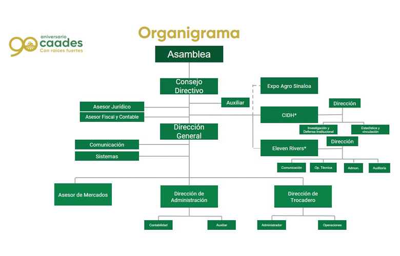 organigrama